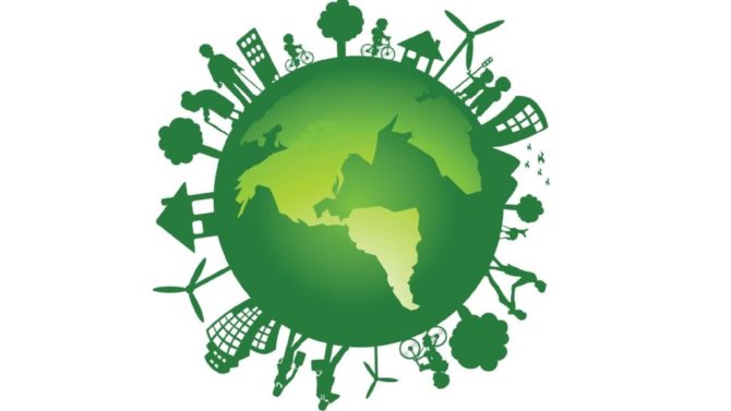 Объявлен прием заявок на участие в эколого-просветительском проекте «Школа ЭкоЛидер»